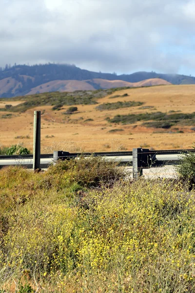 Costa Central da Califórnia, Big Sur, EUA — Fotografia de Stock