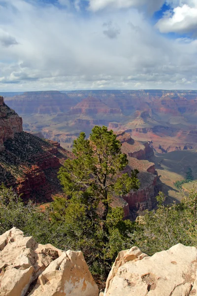 Grand Canyon Ulusal Parkı, ABD — Stok fotoğraf