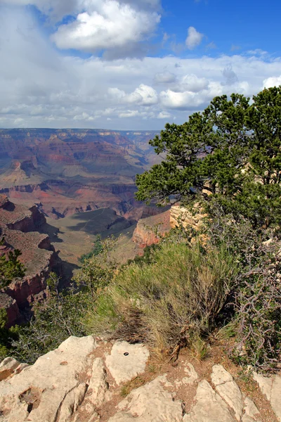 Grand Canyon National Park, EUA — Fotografia de Stock