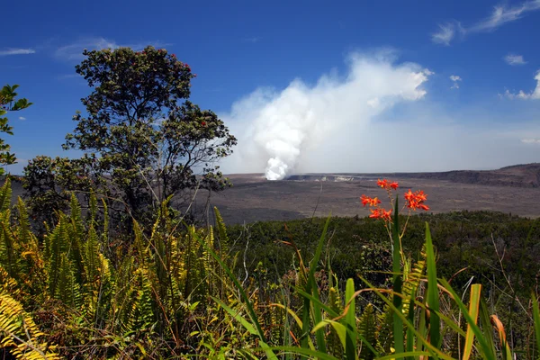 Parque Nacional Volcanes de Hawaii, EE.UU. — Foto de Stock