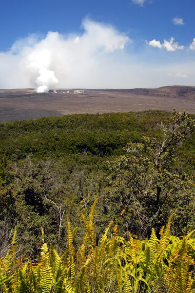 Park Narodowy Wulkany Hawaii, Stany Zjednoczone Ameryki — Zdjęcie stockowe