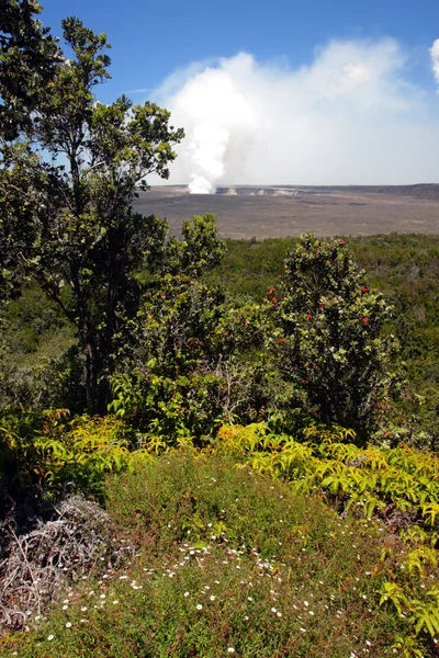 夏威夷火山国家公园，美国 — 图库照片