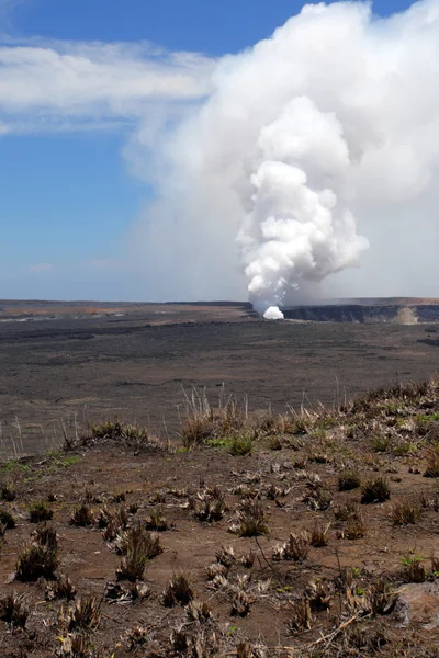 Hawaii Volcanoes National Park, Usa — Stock fotografie