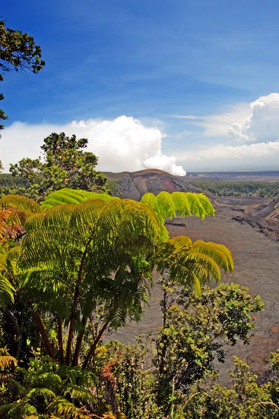 Hawaii Volcanoes National Park, Stati Uniti d'America — Foto Stock