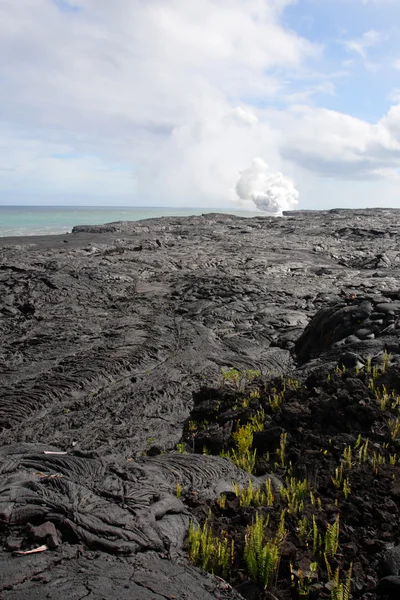 Hawaii Volcanoes National Park, Usa — Stock fotografie