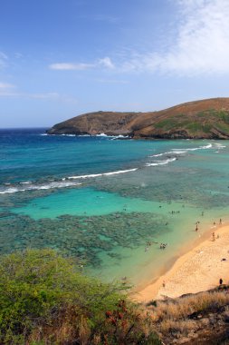 Hanauma Bay, Oahu, Hawaii clipart