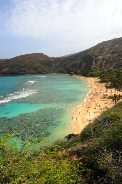 Hanauma Körfezi, Oahu, Hawaii