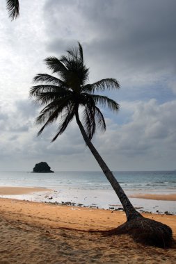 Tioman Adası, Malezya'nın stok görüntü