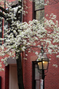 Beacon Hill, Boston