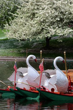 Boston Common ve kamu Bahçe, ABD