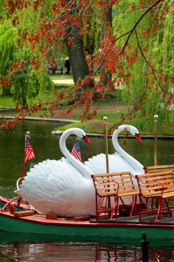 Boston Common ve kamu Bahçe, ABD