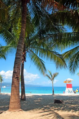 Doktorun mağara Beach Club, Montego Bay, Jamaica