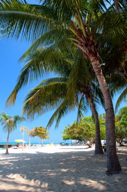 Doktorun mağara Beach Club, Montego Bay, Jamaica