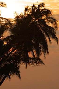 Tioman Adası, Malezya'nın stok görüntü