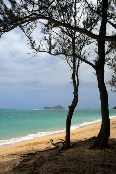 Maunalua Bay, Oahu na Hawajach — Zdjęcie stockowe