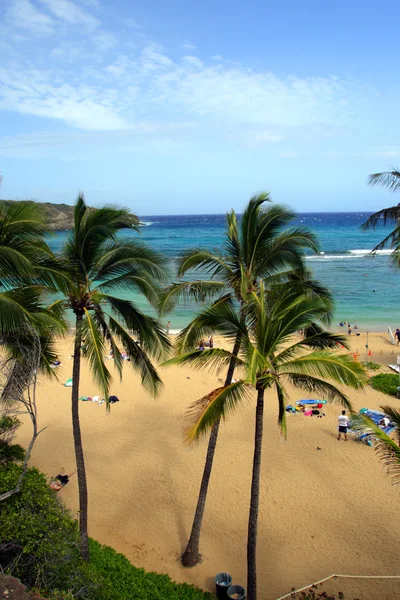 Hanauma Bay, Oahu, Hawaii állam — Stock Fotó