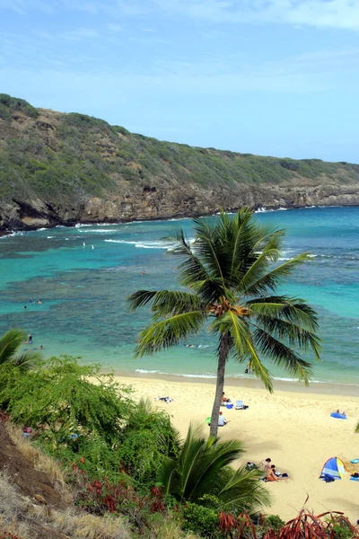 Bahía de Hanauma, Oahu, Hawai — Foto de Stock