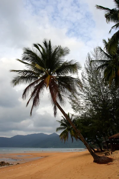 Image de l'image de l'île Tioman, Malaisie — Photo