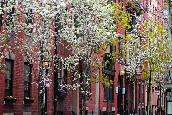 Leuchtturmhügel, Boston — Stockfoto