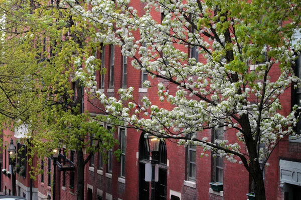 Beacon Hill, Boston — Stockfoto