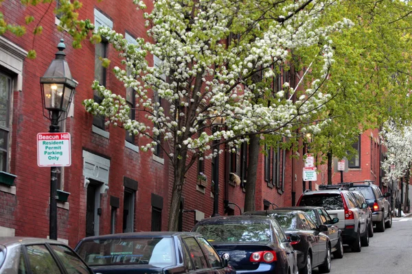 Beacon Hill, Boston — Foto Stock