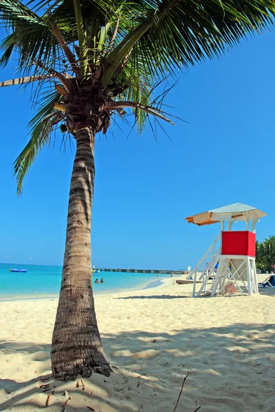 Doctor's grot Beach Club, Montego Bay, Jamaica — Stockfoto