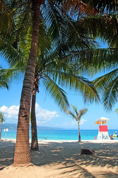 Doktorun mağara Beach Club, Montego Bay, Jamaica — Stok fotoğraf