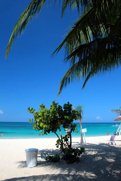 Doctor 's Cave Beach Club, Montego Bay, Ямайка — стоковое фото