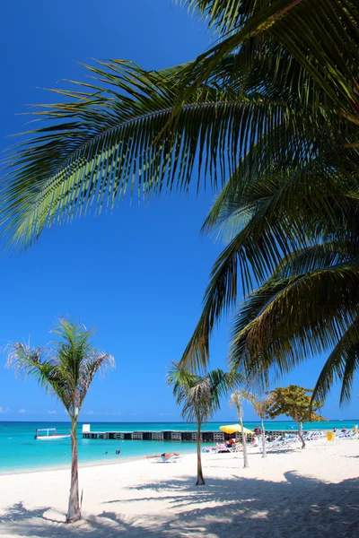 Doctor 's Cave Beach Club, Montego Bay, Jamaica — Fotografia de Stock