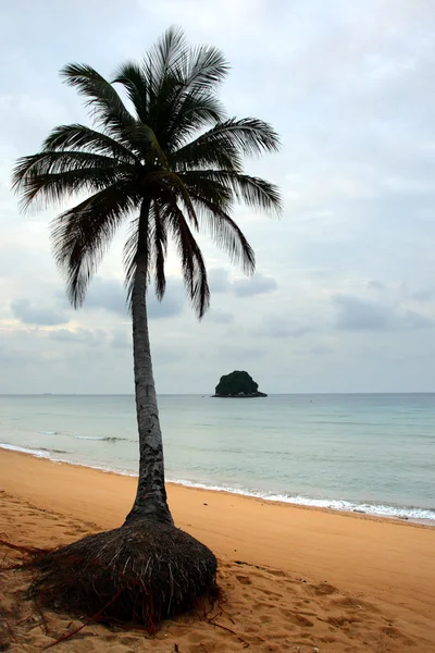 Image de l'image de l'île Tioman, Malaisie — Photo