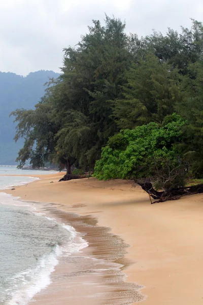 Image de l'image de l'île Tioman, Malaisie — Photo