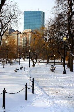 Boston, Massachusetts, ABD 'de kar yağışının stok görüntüsü