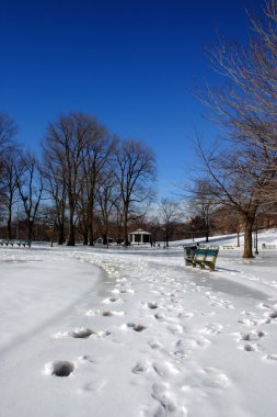 Boston, Massachusetts, ABD 'de kar yağışının stok görüntüsü