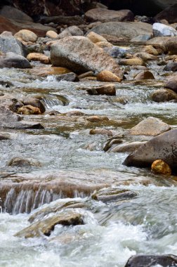 Janda Baik nehir, Malezya