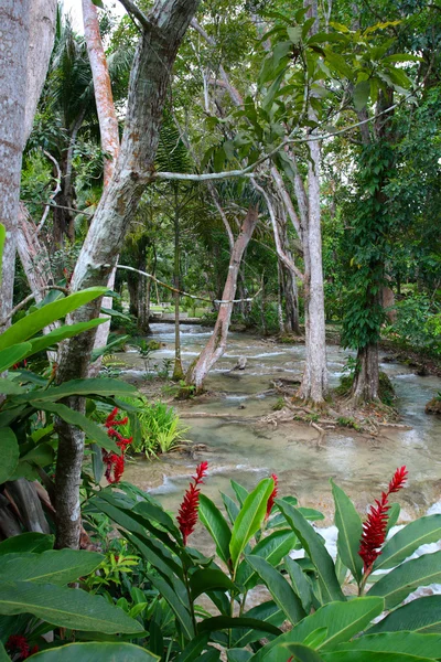 Ocho Rios, Jamaica — Fotografia de Stock