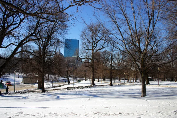 Obraz zapasu śniegu zima w Bostonie, massachusetts, usa — Zdjęcie stockowe