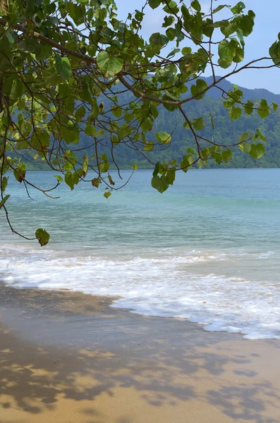 Στο νησί Langkawi, Μαλαισία — Φωτογραφία Αρχείου