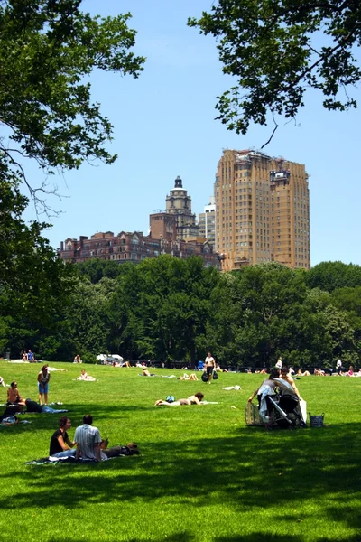 New York Central Park, USA — Stockfoto