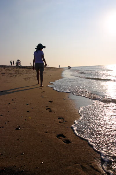 Cape Cod, Massachusetts, ABD