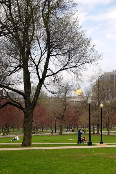 Boston gemeinsamen und öffentlichen Garten, USA — Stockfoto