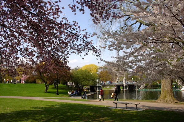 Boston Common i publiczny ogród, Stany Zjednoczone Ameryki — Zdjęcie stockowe