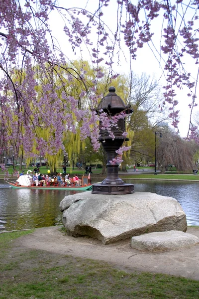 Boston Common and Public Garden, Stati Uniti d'America — Foto Stock