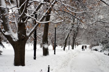 Boston, Massachusetts, ABD 'de kar yağışının stok görüntüsü