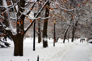 Boston, Massachusetts, ABD 'de kar yağışının stok görüntüsü