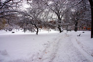 Boston, Massachusetts, ABD 'de kar yağışının stok görüntüsü