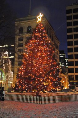 Boston, Massachusetts, ABD 'de kar yağışının stok görüntüsü