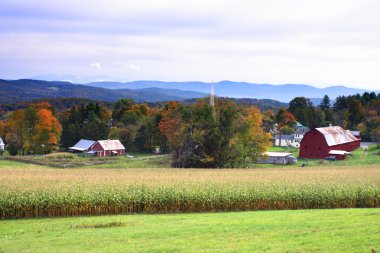 Sonbaharda yapraklar, Vermont, ABD