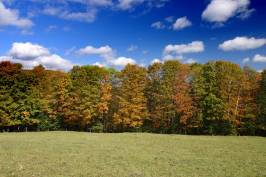 Sonbaharda yapraklar, Vermont, ABD