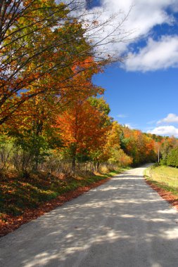 Sonbaharda yapraklar, Vermont, ABD
