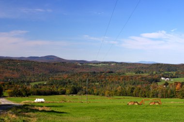 Sonbaharda yapraklar, Vermont, ABD